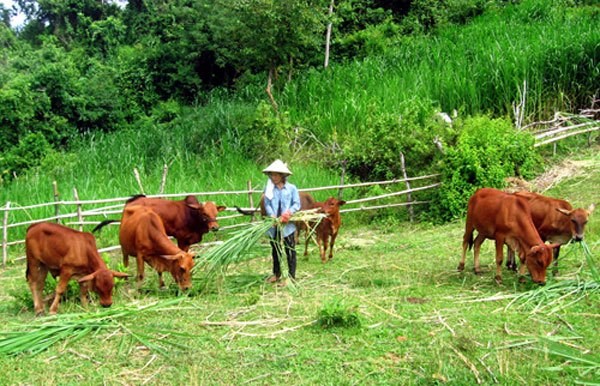 cách làm giàu ở nông thôn