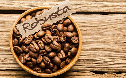 robusta là một trong các loại cà phê hấp dẫn