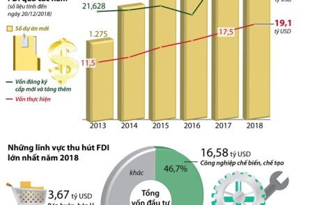 fdi vn