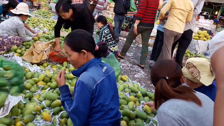 chợ đầu mối trái cây