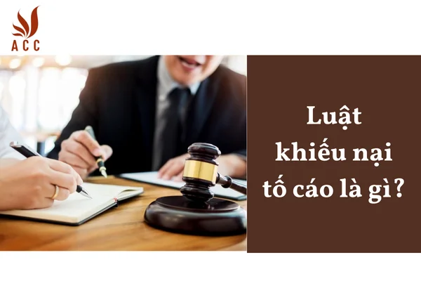 Luật khiếu nại tố cáo là gì?