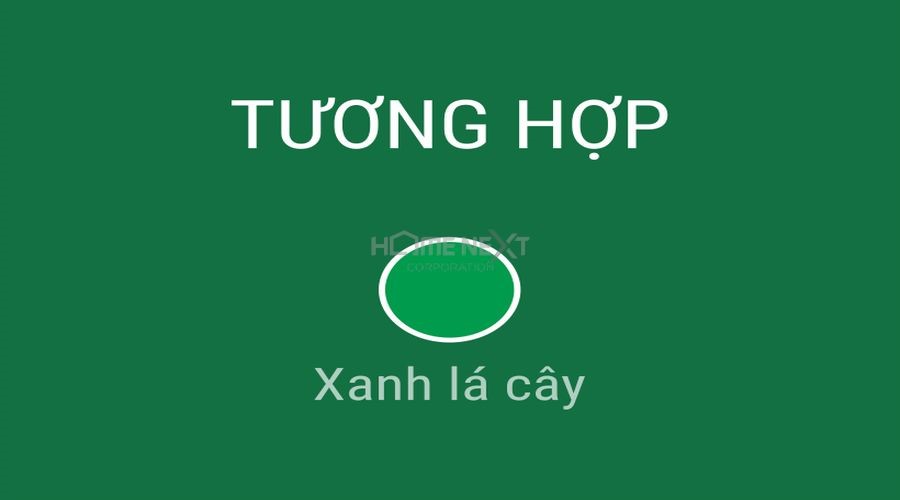 Màu sắc tương hơp của mạng Mộc là xanh lá cây