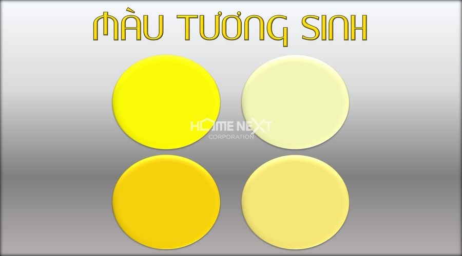 màu tương sinh mệnh kim