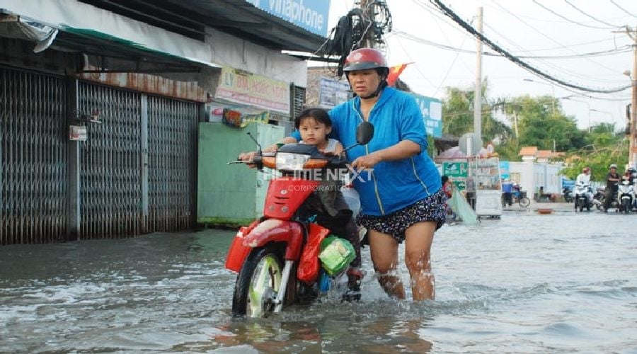 Chẳng ai muốn đi chợ hay đưa con đi học trên con đường đầy nước và nước