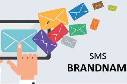 sms brandname