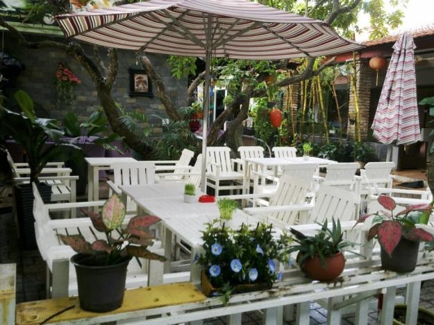 trang trí cây cảnh cho quán cafe